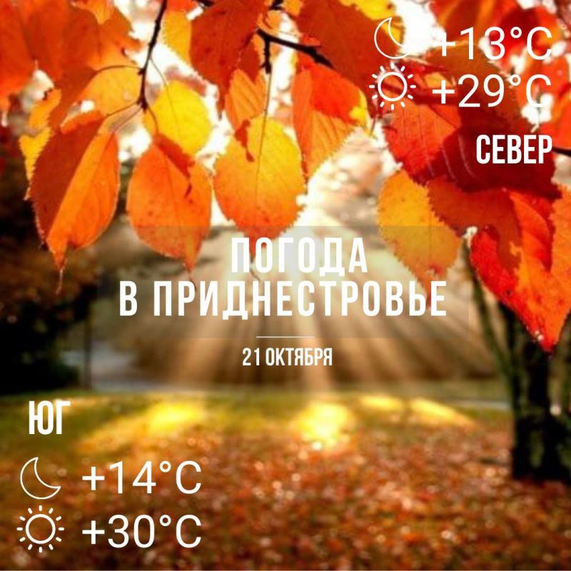 �� +30��. ����� ��� ������ ������� � �������