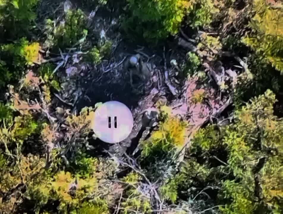 ������ ���������� ���� � ���� ���. ���� ������� 200, ������ 300