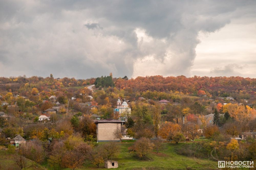 � ���� ������� �������� ���������� � ������ ������������ �� �������� ������� ��������� �������������