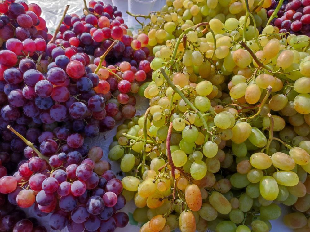 ��������� ���� � ��������� � ���������� ��������