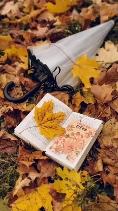 ������ ����!