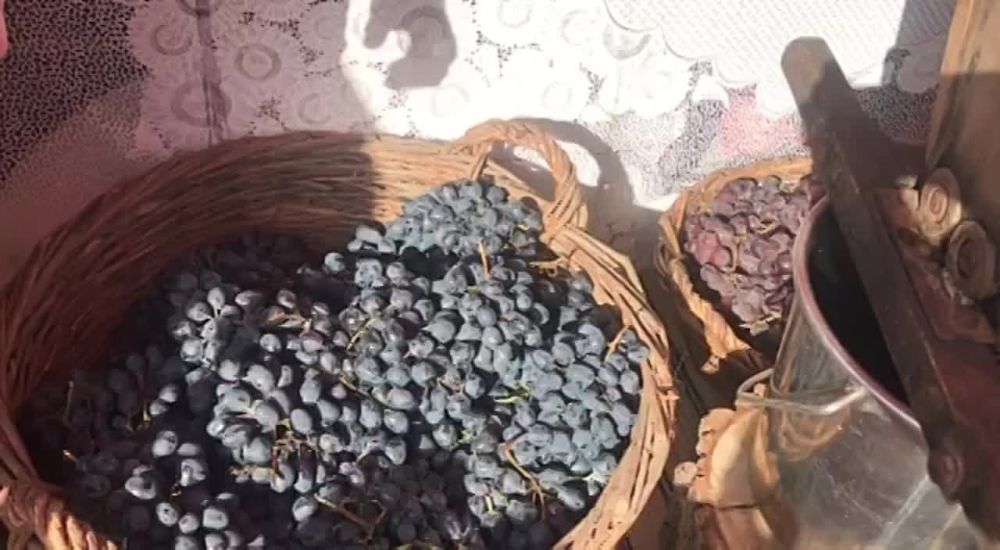 ������� �������� ��������� � �������� ����������