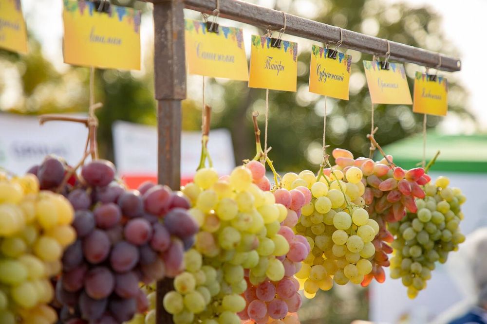 ����� ������ ����. ������������ ������� �����. �� �������� � 12 ���. � ���������� �������� - �������� ���� � ���������. ������ ���� ���������� ���������