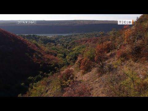 ������� ������������� �������������� ����� ��������� ����� ������������� ������� �������� ������������ ��������. �������...