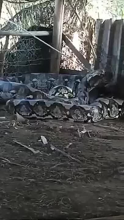 � ��������� ������� ��������� ���������� �����.