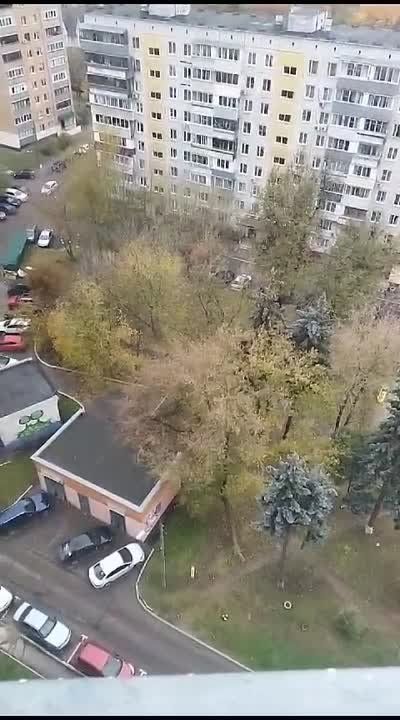 ���������� ����: ������ �������� � �����������