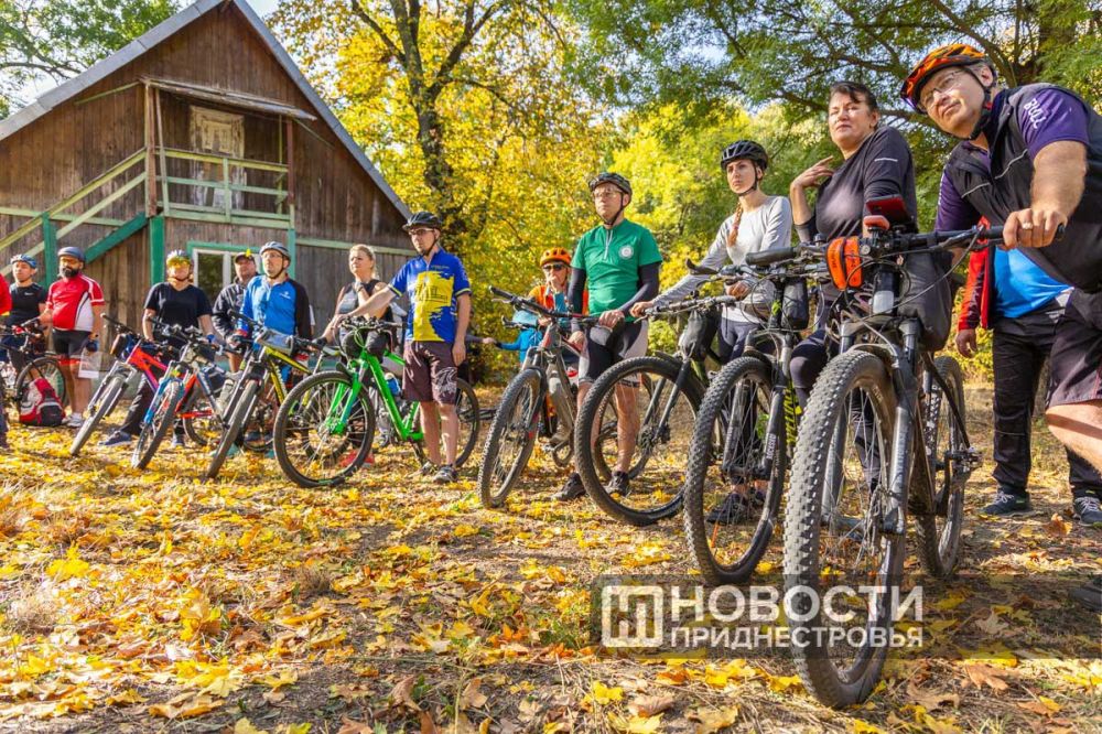 ������� ������-������ �������� �� ������������� �� ������������������ � ���������� ����