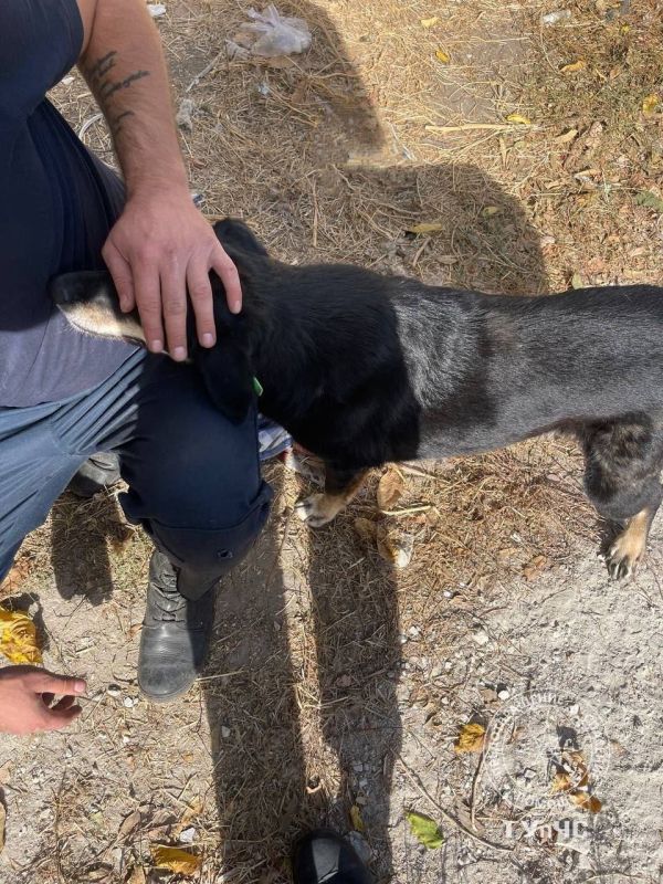 � �������� ������ ������. �� ���������� ����������� � �������� ����� ������ ����� � ���������������� ������� ���. ��� �������� ��������� � ������� ����������. ��� ��������� �� �������