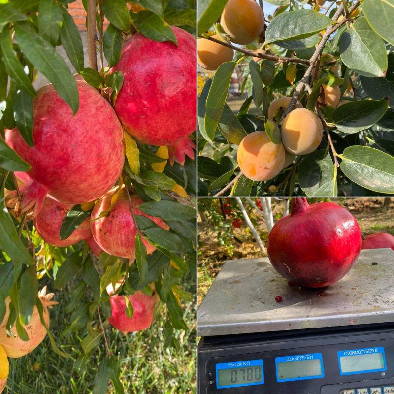 ��������� ������ �� ���������������