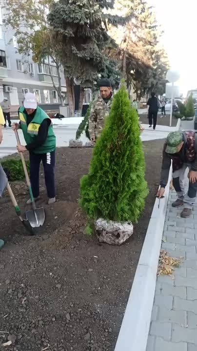 ������ ������������ ��� ��������� �� ����������� ���������