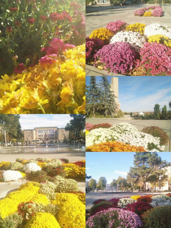 �������. ��� ����� ����� �������?