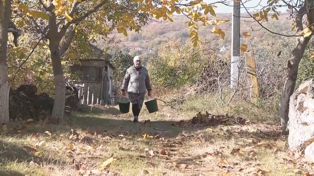 ����� ����������� �� ������� � 71. ������ ���� ����� ����� �� 20 ���� ����