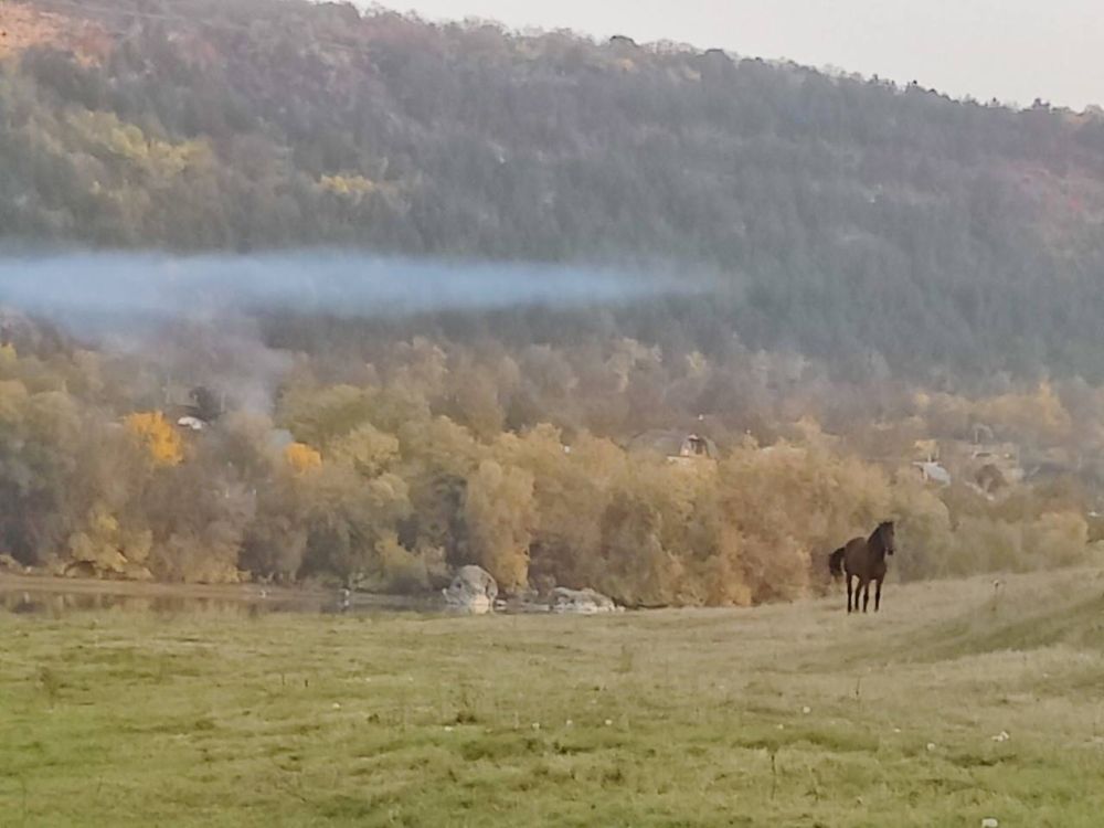 ����� ������� �������� � ���������� ������� ����������