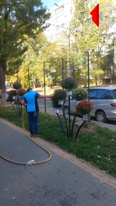 .� ����� ������ - �������� ������� �����..