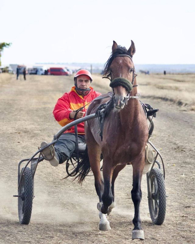 ��� ��� �����!. ���� ������ ����������