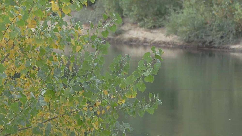 ���� ����� � ������� ��� ������� �� ���� �� �� ����� ����������