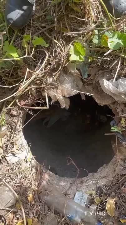 ������ ������. � ��������, �� ���������� ����������� � ������ �������� �����, 23 ������� ������� �������, ��� ������� ������ ����� � ���, �� ������� �������� ������. �� ������� ��������� ���������� � ����������