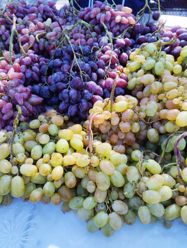 ��������� ���� � ��������� � �������� � ������������ ������ ���������