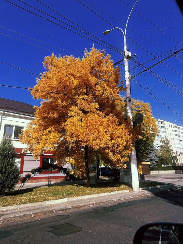 ������ ������� �������� ���������, ����� ������ ���� ���-�� ���� ���������