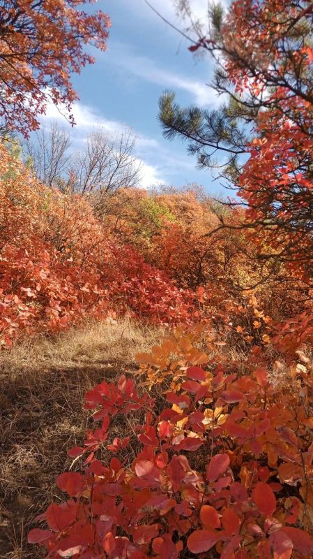 50 �������� ����� � �������������