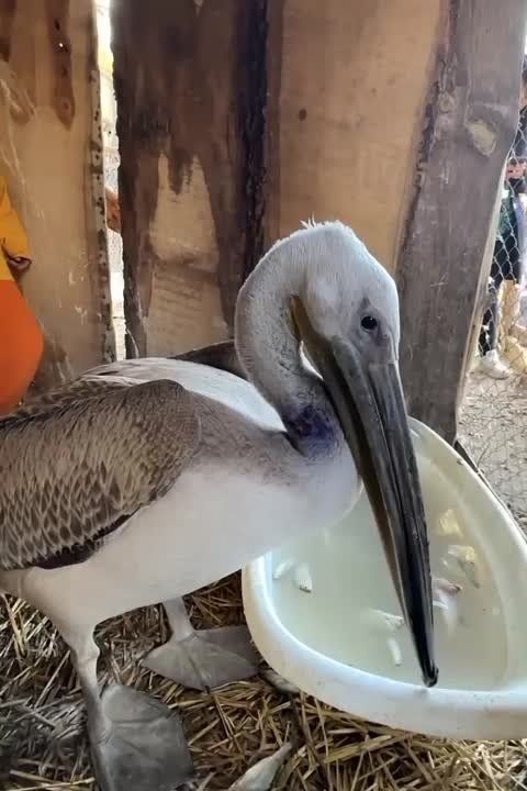 ���, ��� �� ����!� ������� ���� �� ������ �������