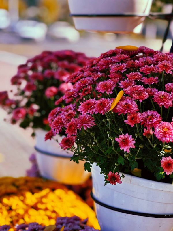 ���������� � ������ �����