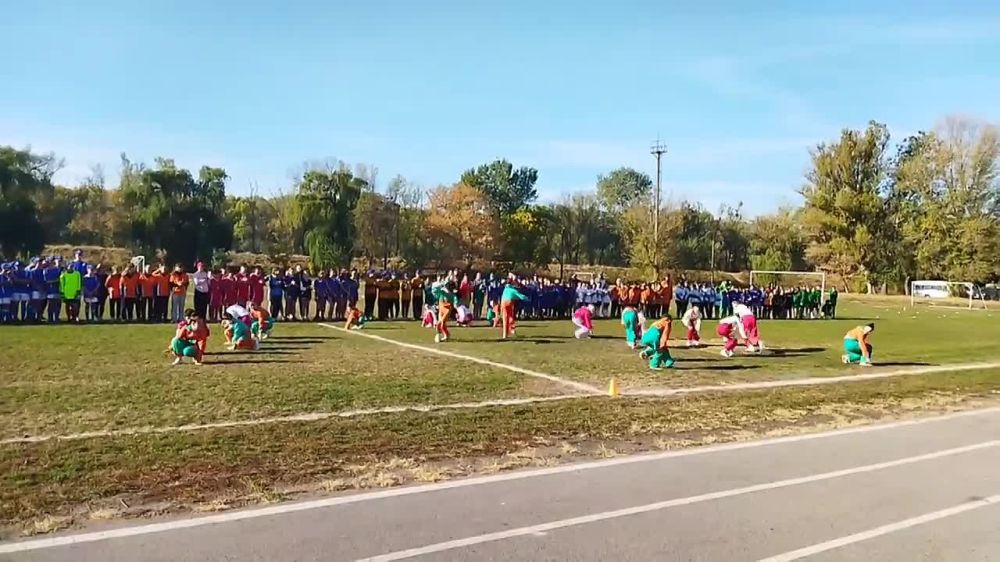 �� ����������� �������� ��������� ���������� ������������� �������� ������ ��������� ����� ���������������� ������� �� ������� �������� ���-2023-2024�, �������� ����������������