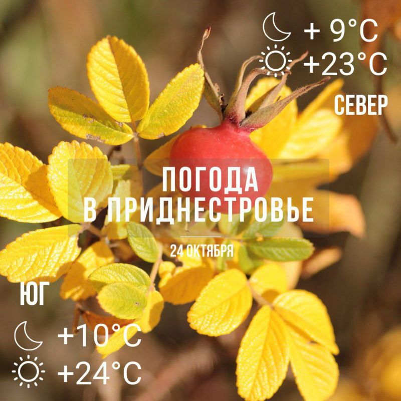 ����� ����� � �� +24�� � ��� ������