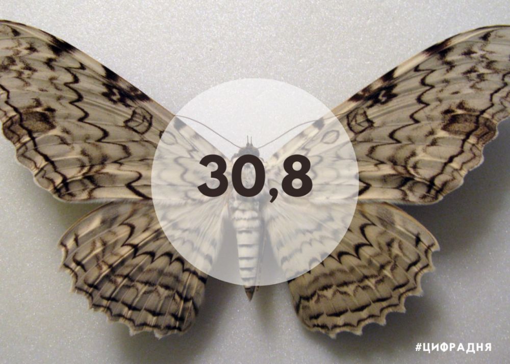 ���� �� ����� ������� ������� � ���� � ��� ������� ���������