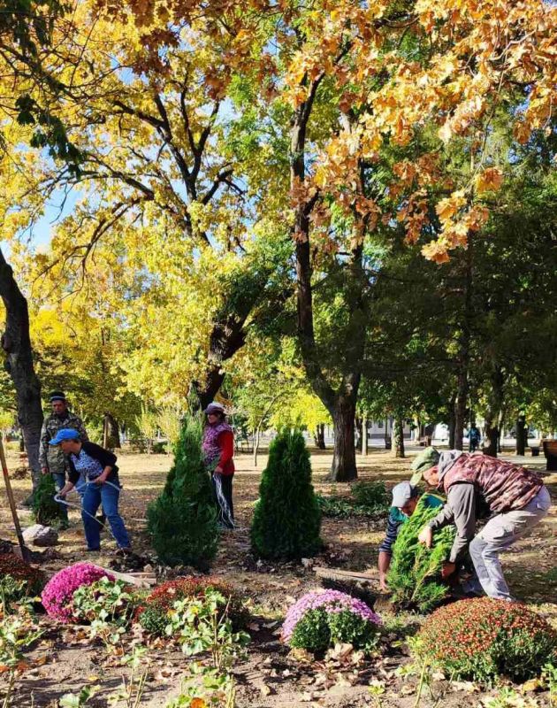 ���, ������������ � ����������� �������� � �������� � ������ �������� ����������