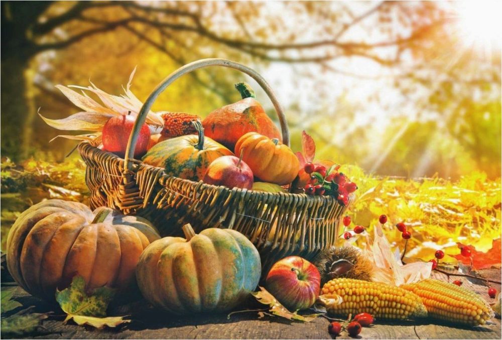 ������� � ����� ����� ����� � � ��� �������, 28 �������, � �������� �� ���������