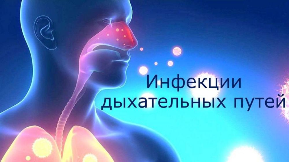 �� ��������� ������ ���������� ���� �������������� ������� ���������� ������� ����������� �����, �������� ��������