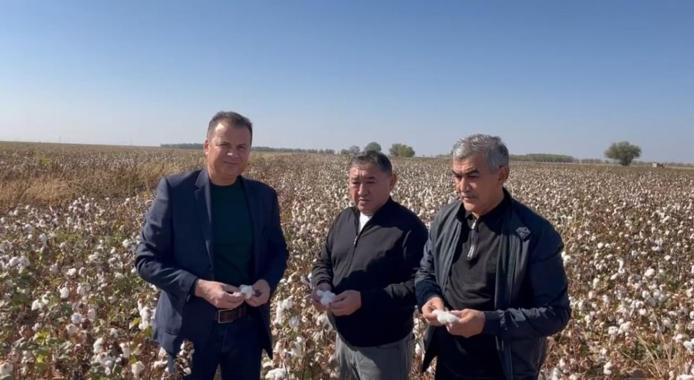 ����� 5 ����� ���� ���������� ������ �������� � ���������