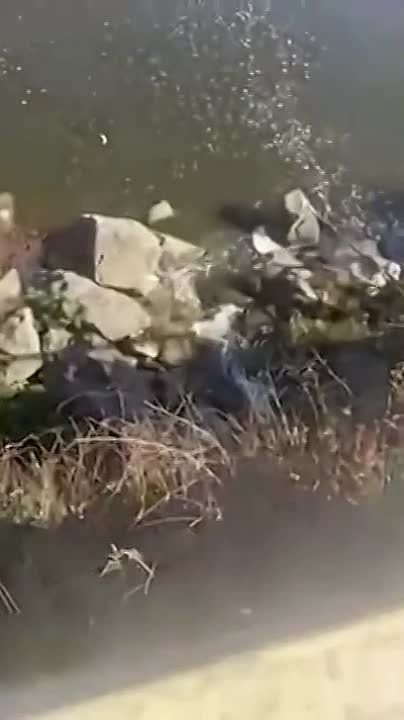 � ����������� ������� ����� ������ �� ��������� ������� � �������� ����, ����� �� ������� �� �����