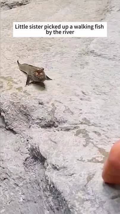 ������ ���: ������� ����������, ��� �� ������� ������ ����� �� ����� ����������� ���� � ������ � ��� ���������� � ������� ����� � �������� � ���� � ���������