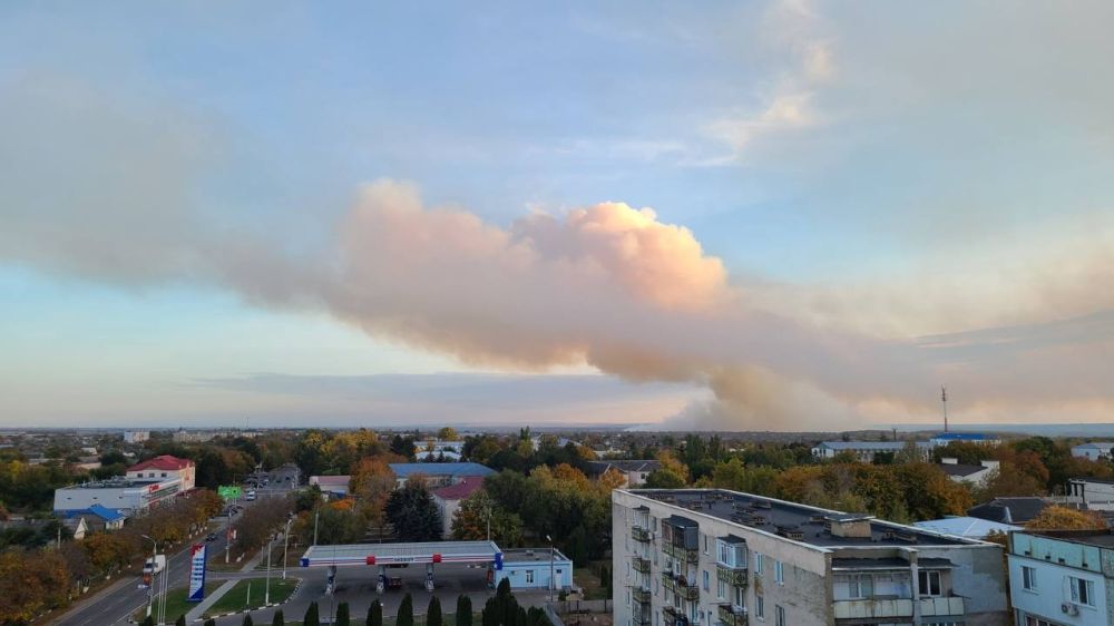 ���-�� ������ ����� � ������ ������� ����� ���������, ����� � ��������