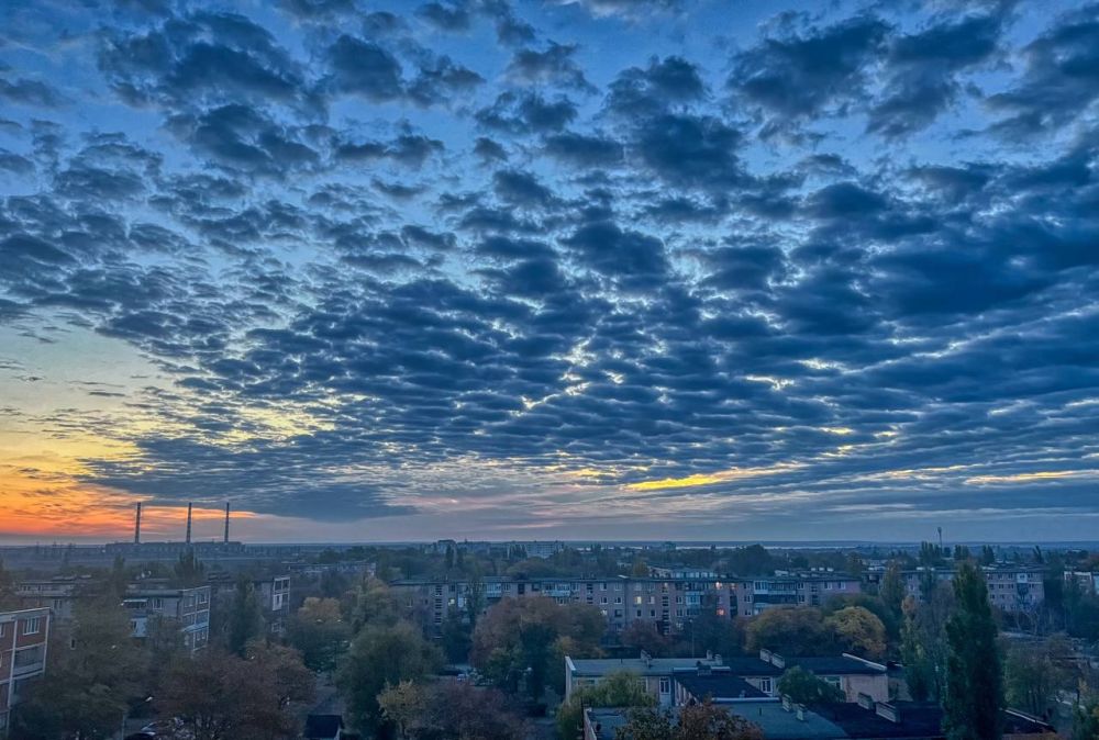 �������� �� ����. ��� ������ ������