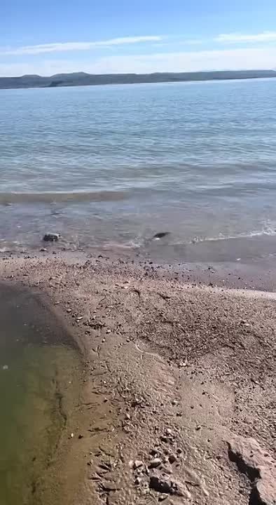 ��� ��� ���������, ���������� �� �����!