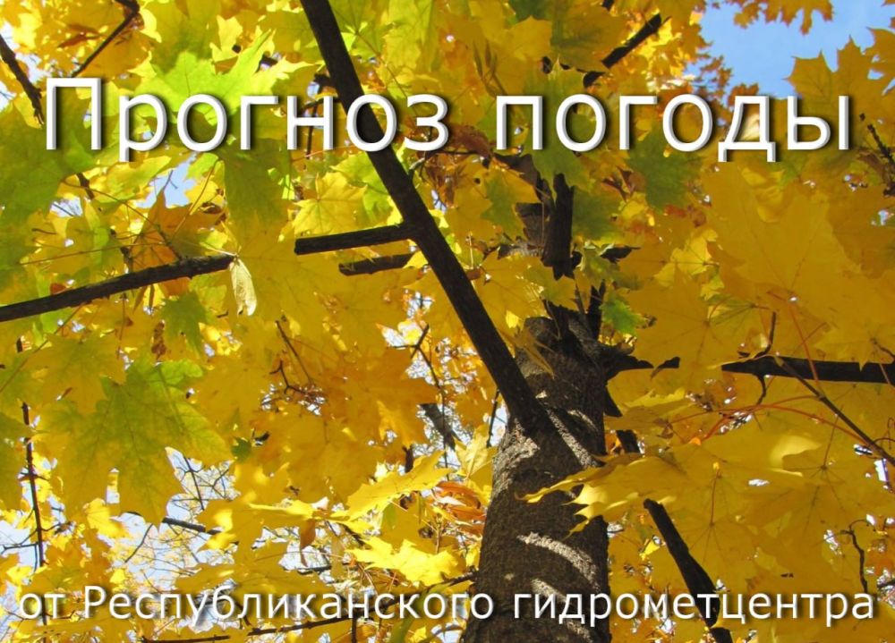 ������� ������. �������, 25 �������, ��������� �������� � ������������ ������, ������� ��������������� �����