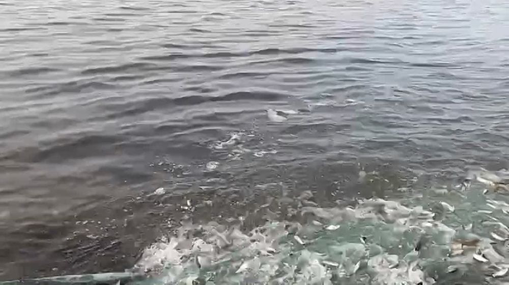 �� ����� � ������ ������������� ��������� 16 ���� ����, �������� ����������