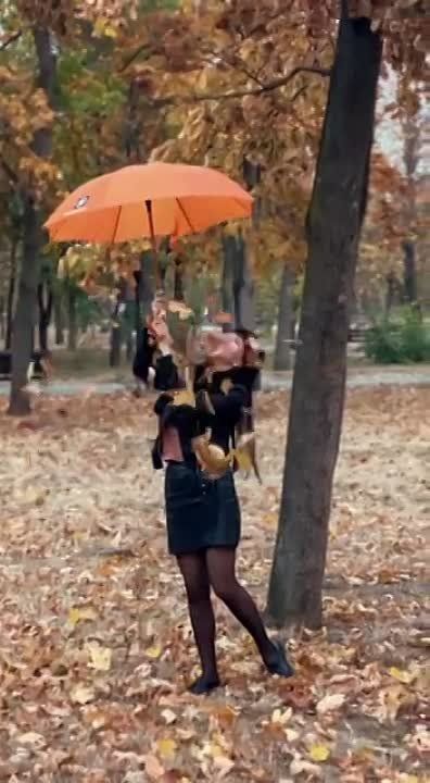 ���������. ����� ��������� � ���� � ������ ��� ������� ����������