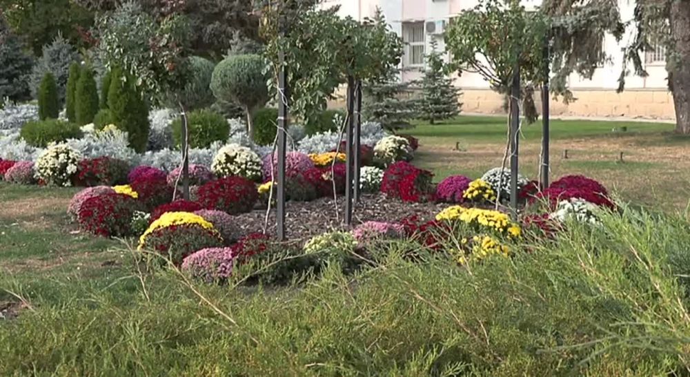 ����� ������ � �������. � ������� ������ ������ � ���������� ����������. ����� ������������ �����������, ������, �������� � ������ ���������