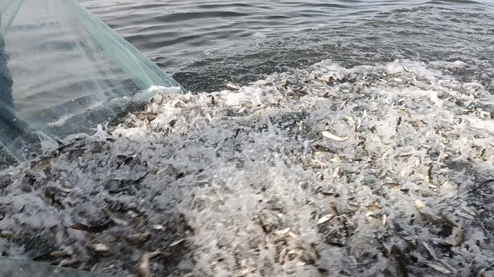 ������� ���� ����������. � ������� �������� ����� 16 ���� ��������� ����