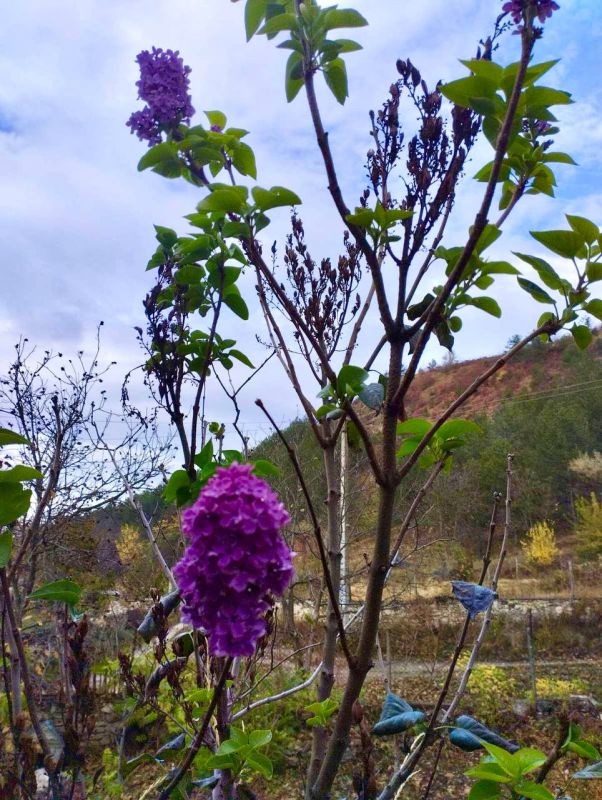 � ������� ������ ����������� ������.