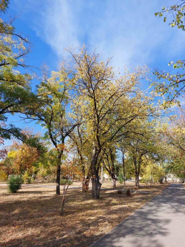 � ����� �������� �������� ������� ������