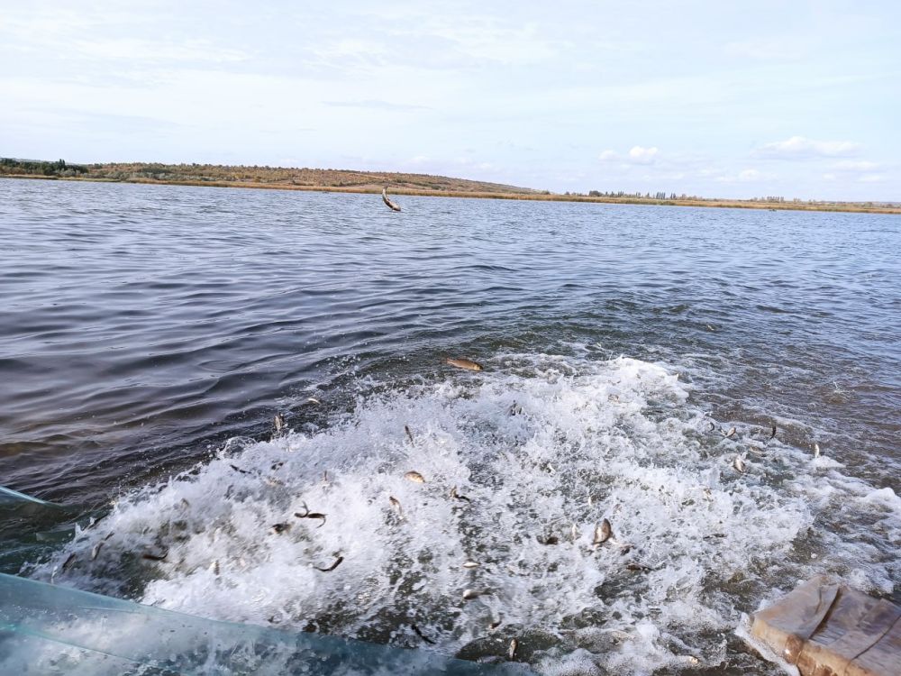 ������ 16 ���� ��������� ��������� � ��������������� ������� � 29 �������� � ������ �������� ����� �� ����������