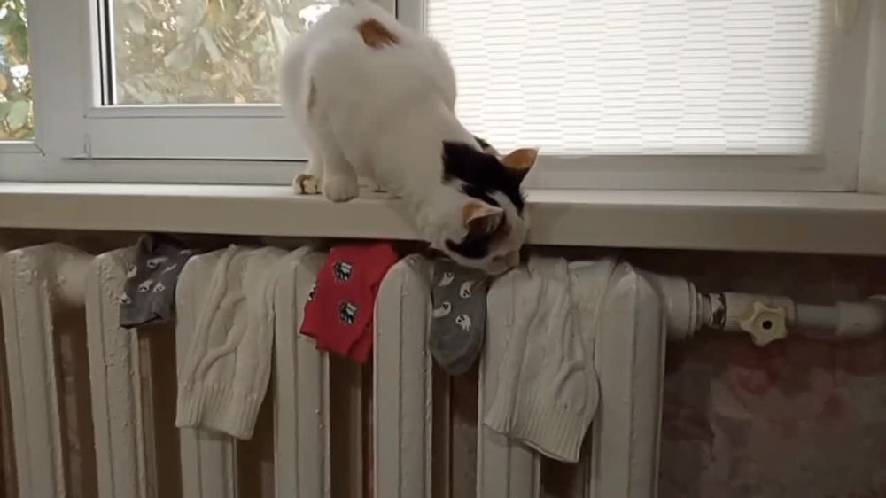 ����� ������ ������ �� ��������� ������