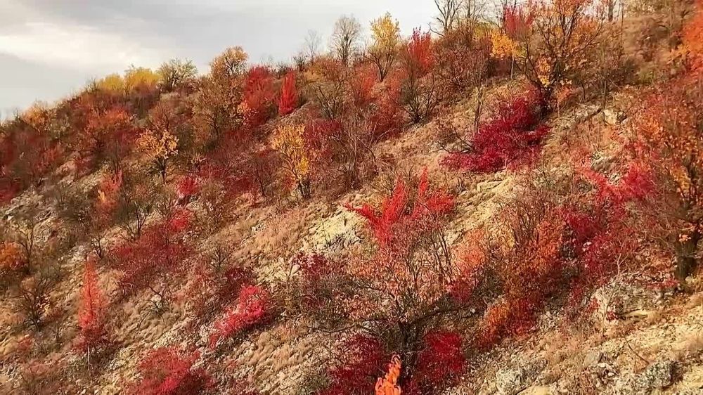 ����� � ����-������. � ������� ���� � 285 ���