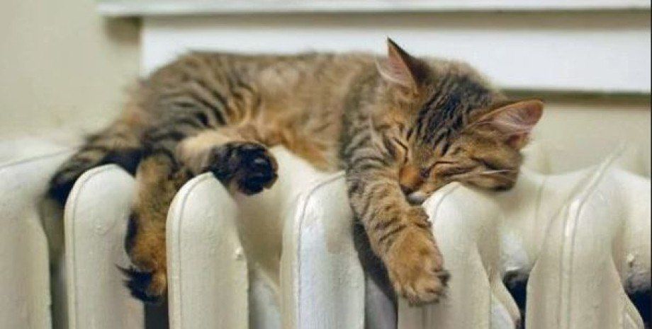 Ҹ���� ����! � 8 ����� �������� ��������� � ����� �����