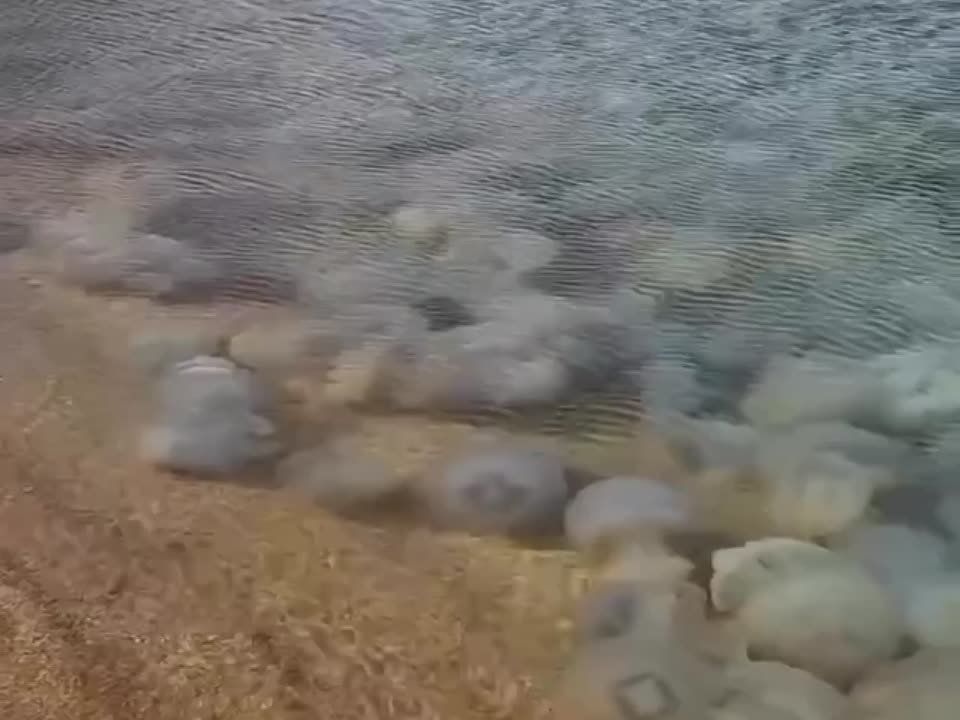 ���� �� �����. � �������� ���� ����� ����� ����������� ����, �������� ������� �� ��������������